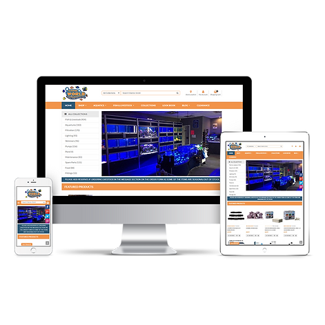 Shopify Expert Services