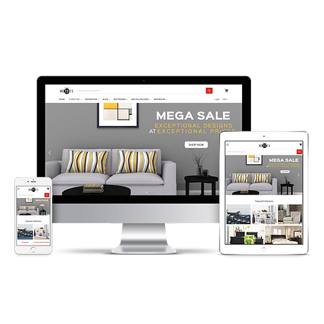 Shopify Store Rebuild or Redesign 