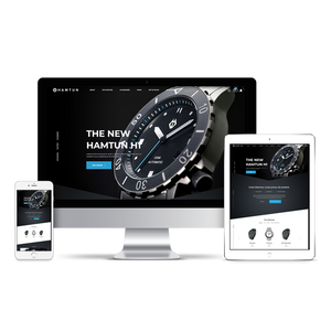 Shopify Expert Developers 